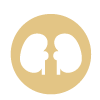aoporoundkidneyicon